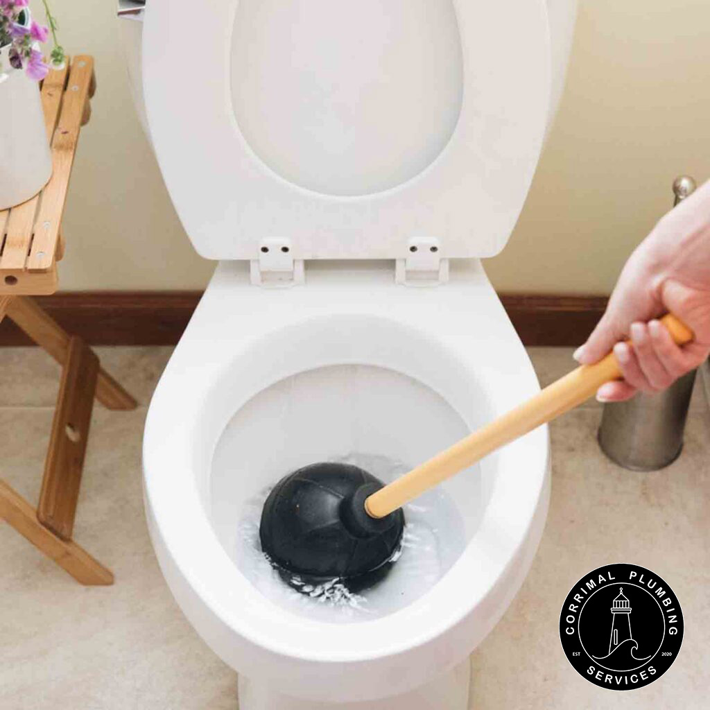 Blocked Toilet Repair in Wollongong